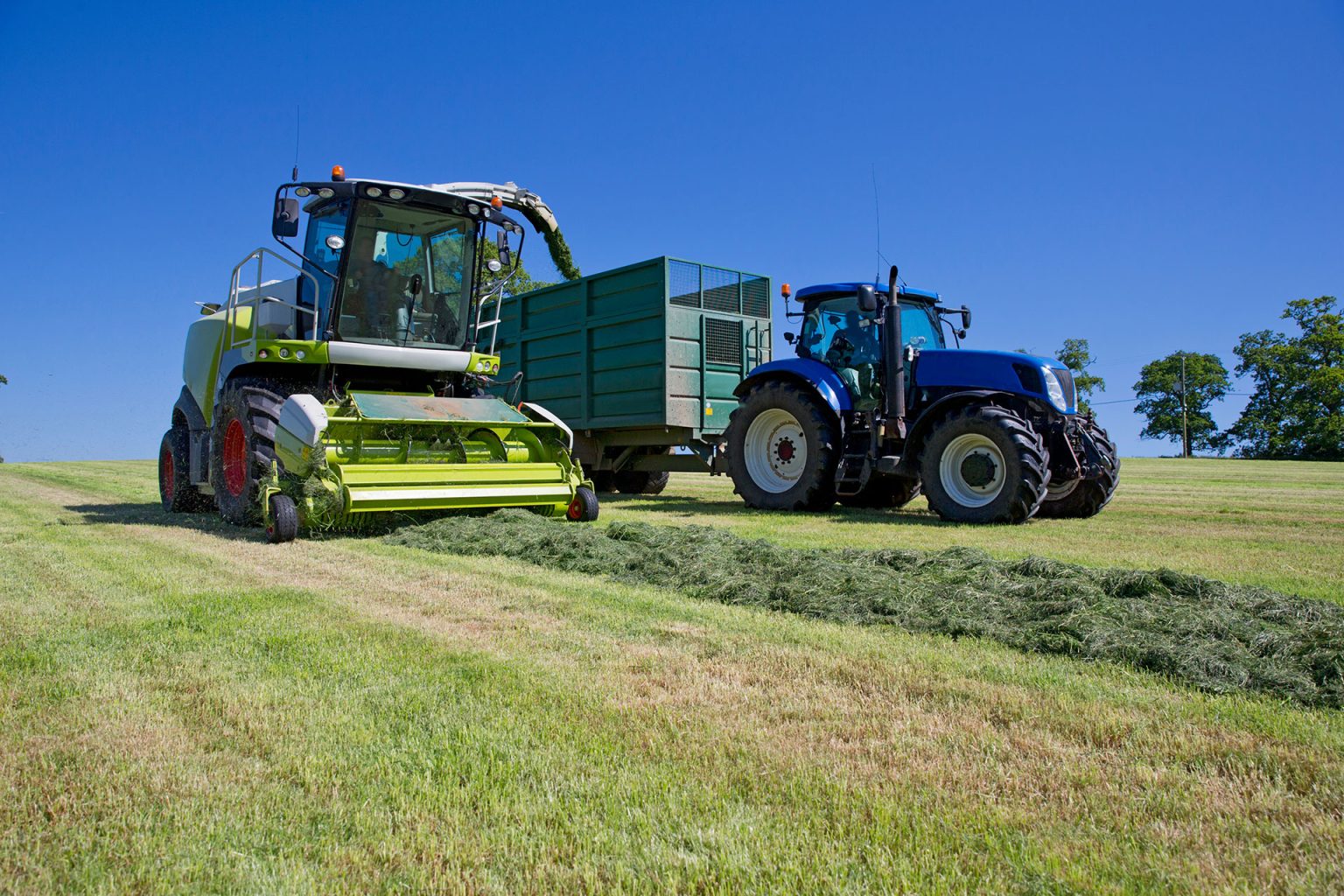 1st Cut Silage Strategy for 2024 - Fertiliser Association of Ireland